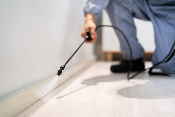 Bed Bug Pre-Treatment Preparation Assessment in Severn