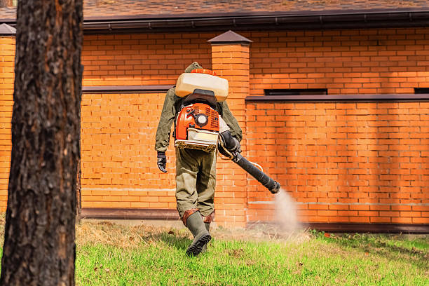 Bed Bug Clearance Verification and Documentation in Severn